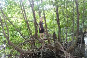 Eli climbed through the forest to look for monkeys.